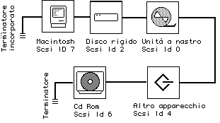 Una catena Scsi può contenere sino a otto apparecchi. Il collegamento viene chiuso ai capi liberi con un terminatore Scsi.