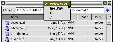 Un server Web visto attraverso Anarchie Pro da un utente con privilegi di amministratore. Ogni cartella che vediamo qui (come "accomazzi") corrisponde a un sito Internet (come "www.accomazzi.net").