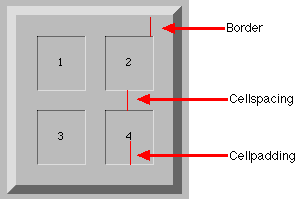Gli attributi della istruzione HTML table determinano l